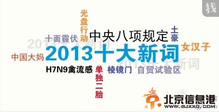 “中央八项规定”“中国大妈”入选2013十大新词