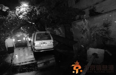 大风突袭树倒砸车