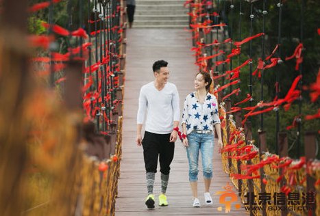 如果爱黎明夫妇张俪王阳明个人资料微博照片 新出炉国民情侣