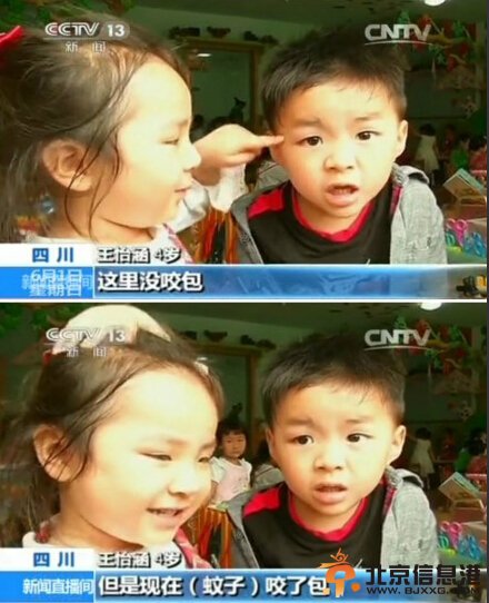 央视采访失恋男孩 因被蚊子咬包遭女孩嫌弃