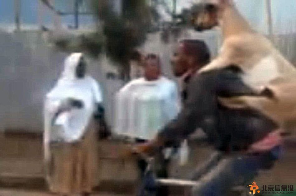 男子背驮山羊在闹市骑行