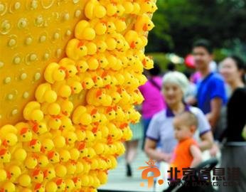 上海小黄鸭被拔 残缺“鸭梨”展现市民素质（图）