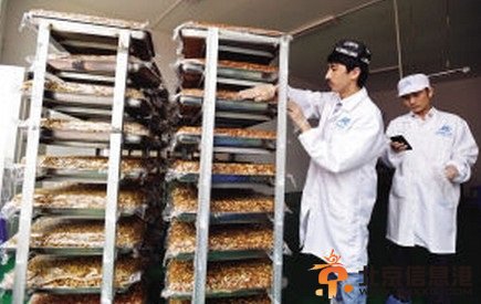 维汉三小伙卖切糕日赚斗金销售额十万 上演真实版“中国合伙人”