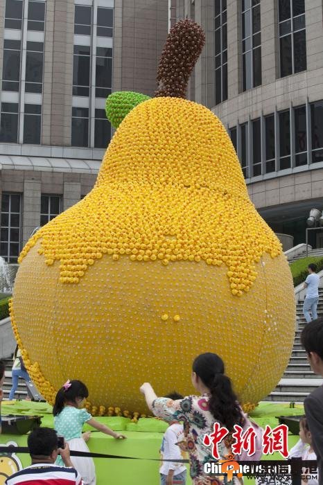 上海小黄鸭被拔走一半 有人一次就摘掉十来个