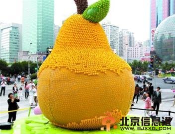 端午节上海小黄鸭惨遭被拔 大鸭梨很忧伤【组图】