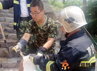 两米长大蛇蹿进居民区 口吐红信威胁人群