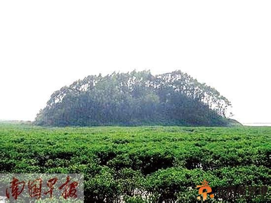 广西最低14元可购岛 一瓶淡水一根电线都没有