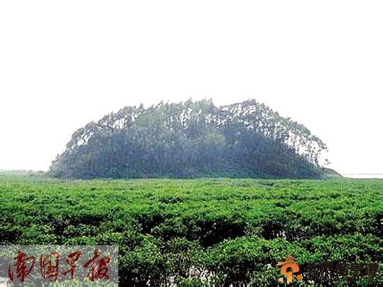 买座海岛当“岛主”你也能行 部分岛屿单价14元