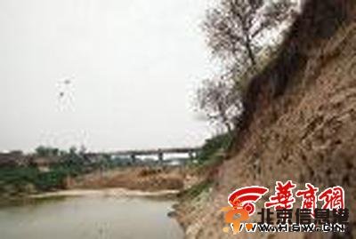 陕西推土机施工摧毁燕子窝 众多雏燕被活埋