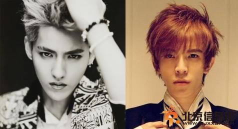 吴亦凡郭敬明将重金签约 携手杨幂打造《幻城》三部曲