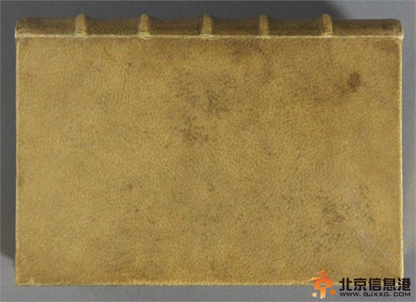 世界首本人皮书取材于女人背部 仔细看能看到人的毛孔（高清图）