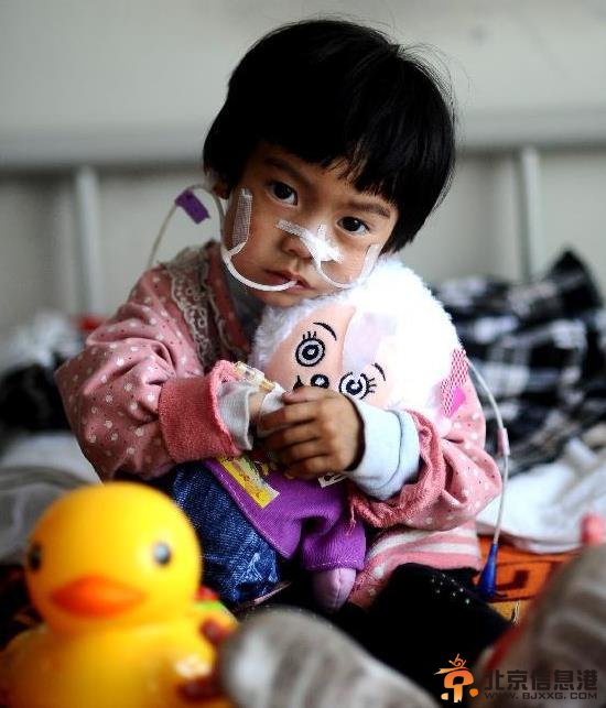 &ldquo;喂食爸爸&rdquo;500天的喂食生活写照：像大鸟一样在庇护女儿