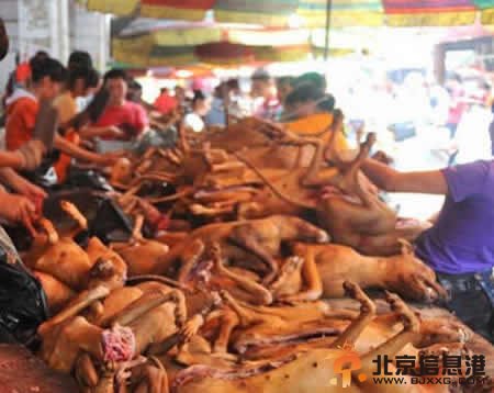 网友发起抵制6.21玉林狗肉节 6.21广西玉林狗肉节由来是什么