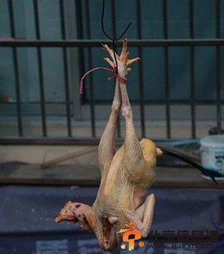 婴儿被抱走后身亡系火锅店员工仇杀 王文连因只鸡引发血案