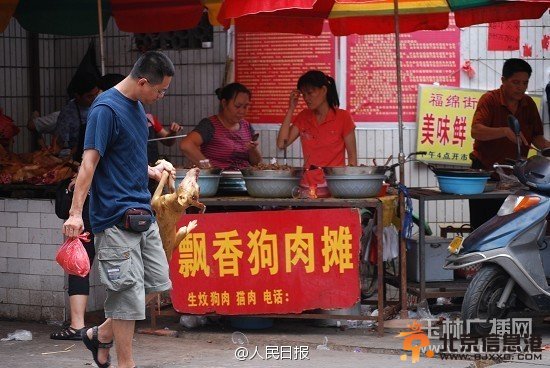 广西玉林荔枝狗肉节吃掉上万条狗 陈坤杨幂等明星微博呼吁抵制狗肉节