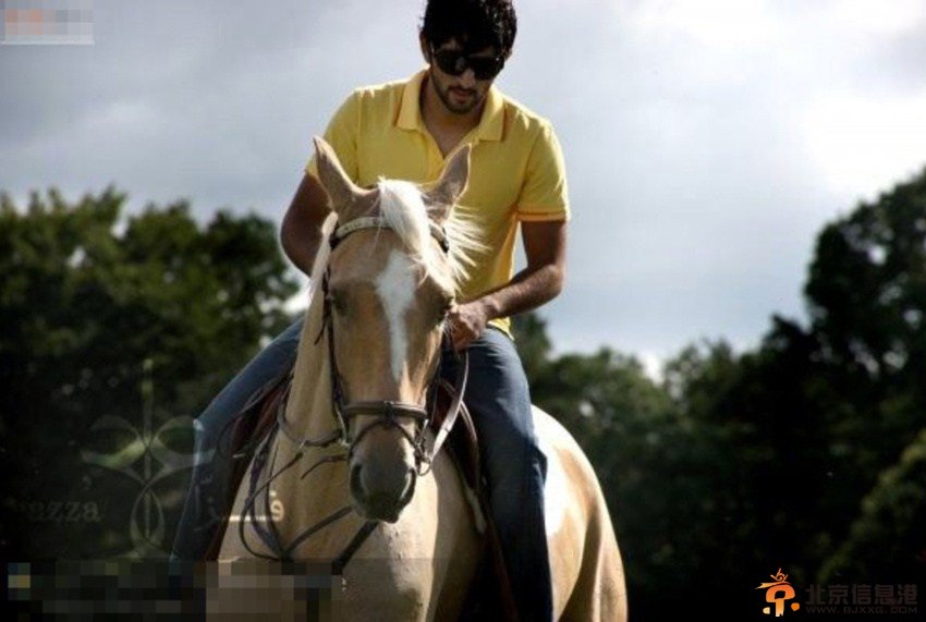 揭秘迪拜后裔的奢侈腐化生活 真正的富二代当是这样