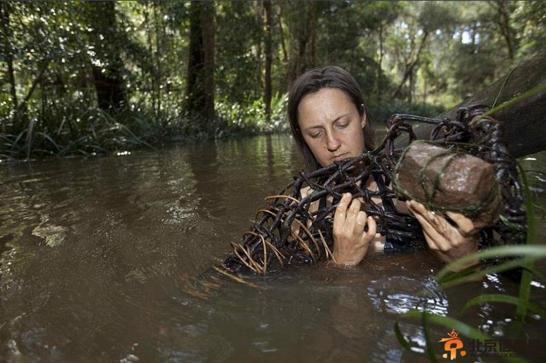澳大利亚女子厌倦城市喧嚣 回归丛林独居做捕食猎人
