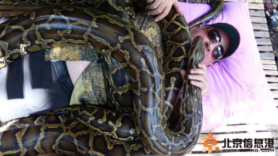 菲律宾巨蟒按摩玩的绝对是心跳 5米大蟒蛇缠绕全身