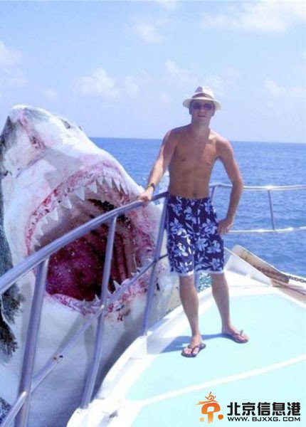 图解让人尖叫的生死瞬间 真的吓哭了