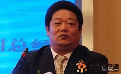 戴春宁简历