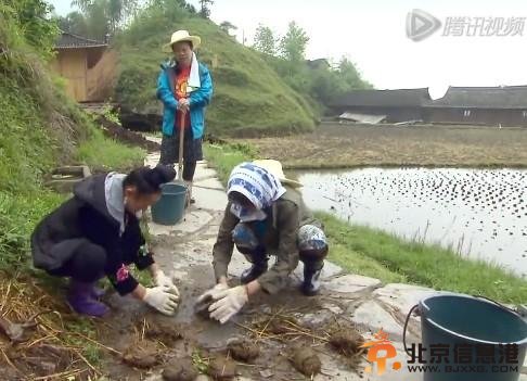 《花样》李斯丹妮杨紫不和？ 汪峰前妻把粪干呕