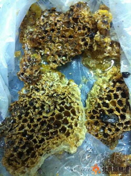 18人食野蜂蜜致3人中毒死亡 疑与有毒花粉有关