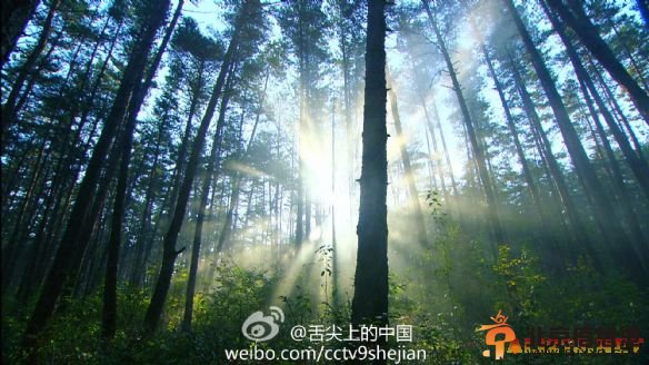 《舌尖上的中国2》第六集“秘境”再遭网友吐槽：看了一集动物世界