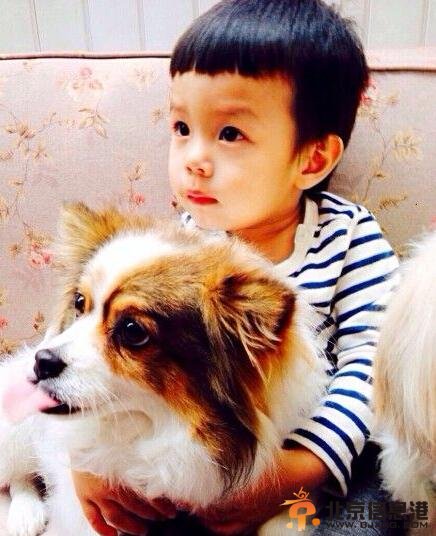 孙俪儿子抱狗狗合影 娘娘呼吁抵制玉林狗肉节