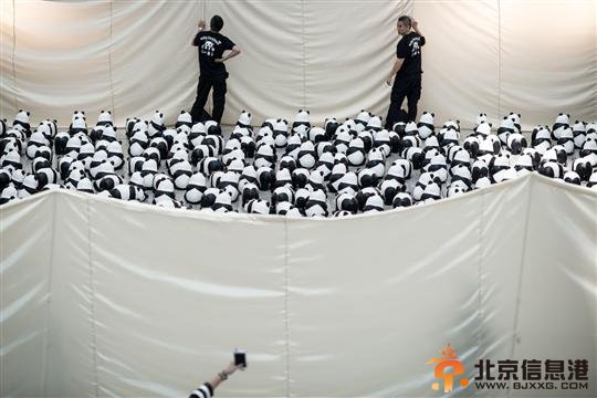 1600只纸熊猫亮相香港机场上演“快闪”【图】