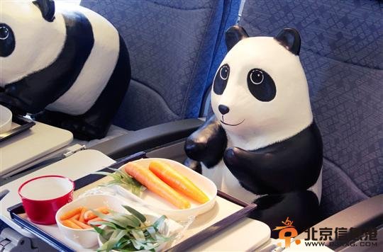 1600只纸熊猫亮相香港机场上演“快闪”【图】