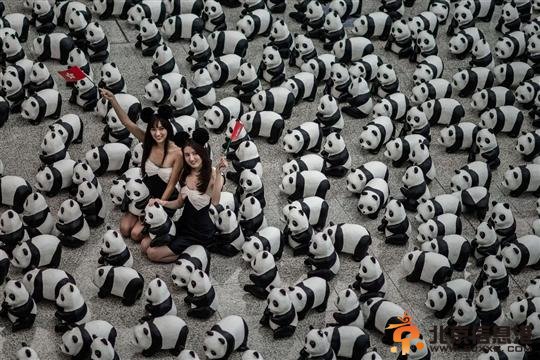 1600只纸熊猫亮相香港机场上演“快闪”【图】