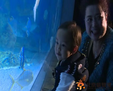《爸爸回来了》贾乃亮为女儿表演潜水险晕倒
