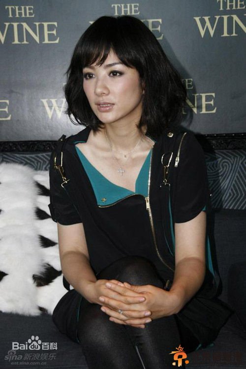 黄奕个人资料 黄毅清个人资料 黄奕与老公黄毅清关系怎么样了