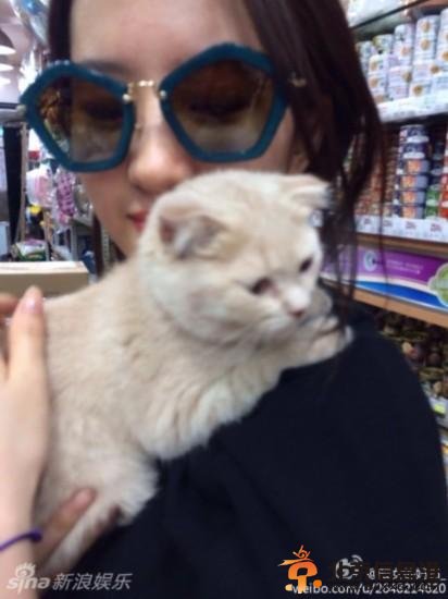 刘亦菲抱猫显狂野 网友喊话喵星人：放开女神让我来！【图】