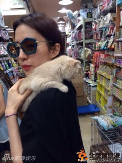 刘亦菲抱猫显狂野 网友喊话喵星人：放开女神让我来！【图】