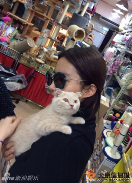 刘亦菲抱猫咪亲密照曝光 素颜肤质好无损女神地位【图】