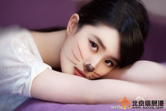 组图：刘亦菲潮装抱猫现身 粉丝大呼愿变喵星人 