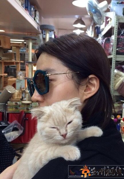 组图：刘亦菲潮装抱猫现身 粉丝大呼愿变喵星人 