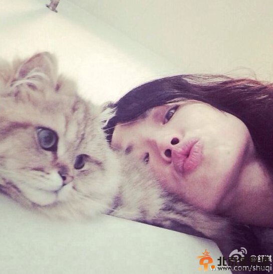 组图：刘亦菲潮装抱猫现身 粉丝大呼愿变喵星人 