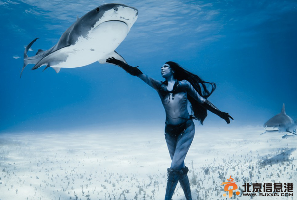 [唯美高清]美女穿比基尼与虎鲨共舞 徒手潜水零防护真实版美女与野兽