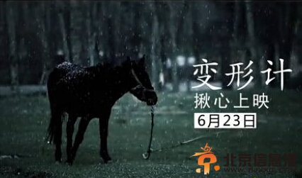  变形计尚领兄资料,藏族丫头尚领兄失去双亲、跟爷爷相依为命