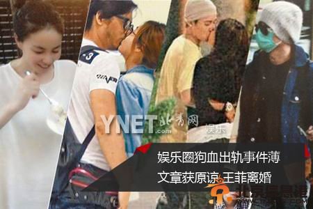 <a href='http://www.bjxxg.cn/ent/' target='_blank'><u>娱乐</u></a>圈狗血出轨事件薄：文章获原谅 王菲离婚