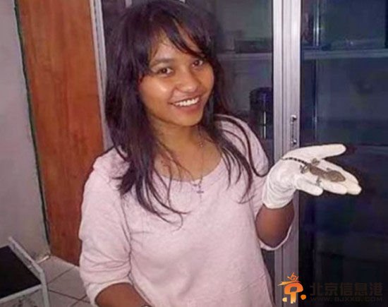 印度女子产下一只壁虎 狸猫换太子“假孕”