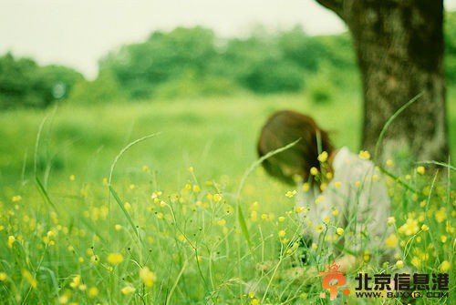 解析屁多形成的原因 你的胃肠为什么爱生气