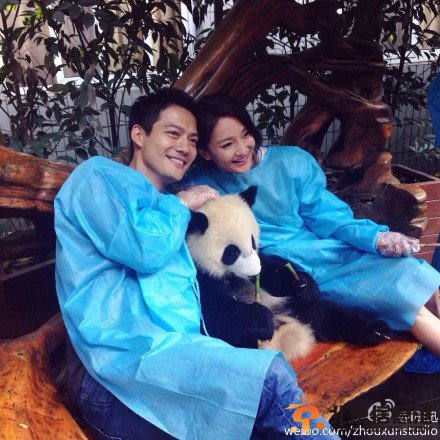 周迅和男友抱大熊猫亲密合影 网友送祝福:希望早日结婚