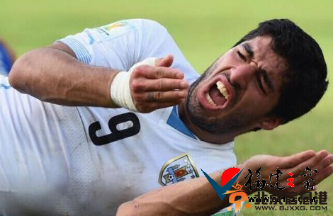 世界杯2014赛程16强对阵图出炉 哥伦比亚VS乌拉圭南美射手比拼的较量