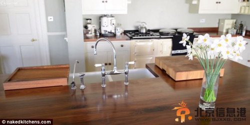 威廉夫妇“第三厨房”内景曝光 极尽奢华引质疑