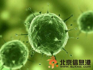 日本教授造超级病毒外泄恐酿大灾难 放大1.25万倍病毒罕见彩显图曝光【附教授正面照】