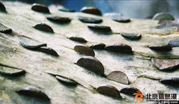 真正的“摇钱树”现英国：已有好几百岁