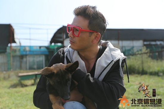《神犬奇兵》明晚开播 萌犬“抢走”<a href='http://www.bjxxg.cn/ent/mingxing/' target='_blank'><u>明星</u></a>风头